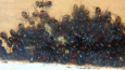 Camponotus ligniperda Nesteinblick in der Winterruhe