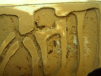Lasius flavus