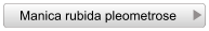 Manica rubida pleometrose