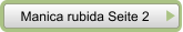 Manica rubida Seite 2