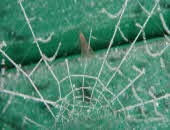 Winter _1- Winter _1-