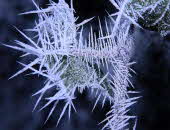 Winter _2- Winter _2-